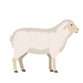 Labels Lamm